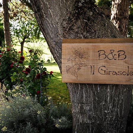 Il Girasole Acomodação com café da manhã Basciano Exterior foto