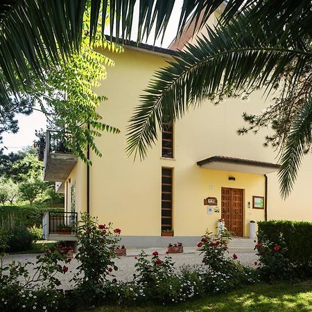 Il Girasole Acomodação com café da manhã Basciano Exterior foto
