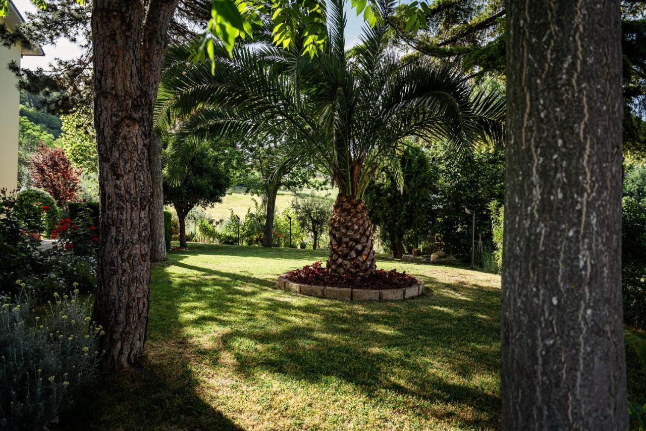 Il Girasole Acomodação com café da manhã Basciano Exterior foto